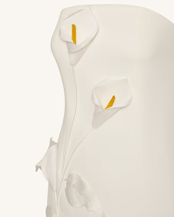 Strapless Floral Appliqué Dress - White