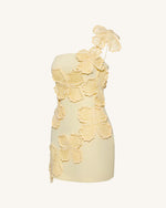 Crochet Floral Appliqué Mini Dress - Yellow