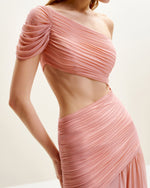Mia Pleated Mesh Dress - Blush