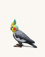 Gray Cockatiel Clutch Bag - Multicolor